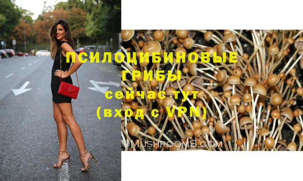 тгк Аркадак