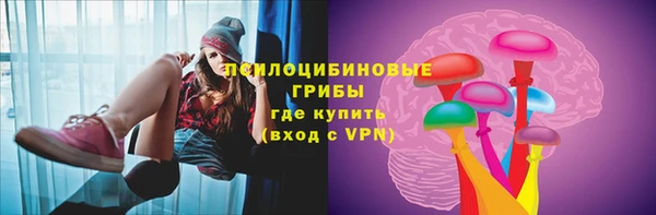 тгк Аркадак