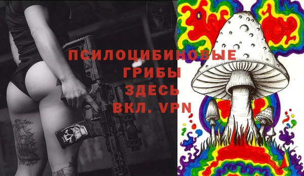 тгк Аркадак