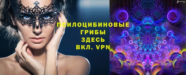 трава Армянск