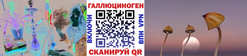 Псилоцибиновые грибы мицелий  блэк спрут сайт  Свирск 